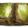 The Adventure of Life - Image 3
